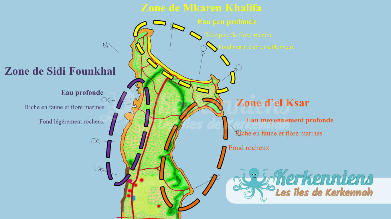 Caractéristiques des côtes littorales Zone de Sidi Founkhal Zone de Mkaren Khalifa Zone d’el Ksar Kerkennah